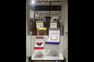 Vetrina autunno inverno Excelsior Verona 2014: accessori
